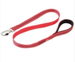 Zolux Laisse MOOV Rouge 25 Mm