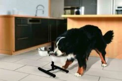 Zolux Support Double Réglable + 2 Bols 2,75 L -lacompagniedesanimaux zolux support double re glable 2 bols 2 75 l3