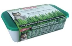Zolux Herbe Dépurative Naturelle Pour Chat 250 G 6 Zolux Herbe Dépurative Naturelle Pour Chat 250 G -lacompagniedesanimaux zolux herbe depurative naturelle pour chat 250 g2