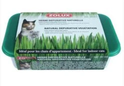 Zolux Herbe Dépurative Naturelle Pour Chat 250 G 7 Zolux Herbe Dépurative Naturelle Pour Chat 250 G -lacompagniedesanimaux zolux herbe depurative naturelle pour chat 250 g3
