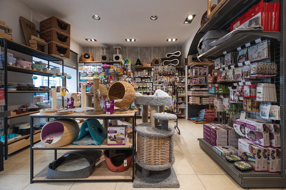 lacompagniedesanimaux 1 lacompagniedesanimaux -lacompagniedesanimaux animalerie chat nice